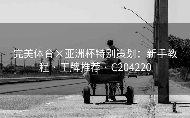 完美体育×亚洲杯特别策划:新手教程 · 王牌推荐 C204220 第2张 完美体育×亚洲杯特别策划:新手教程 · 王牌推荐 C204220 第2张