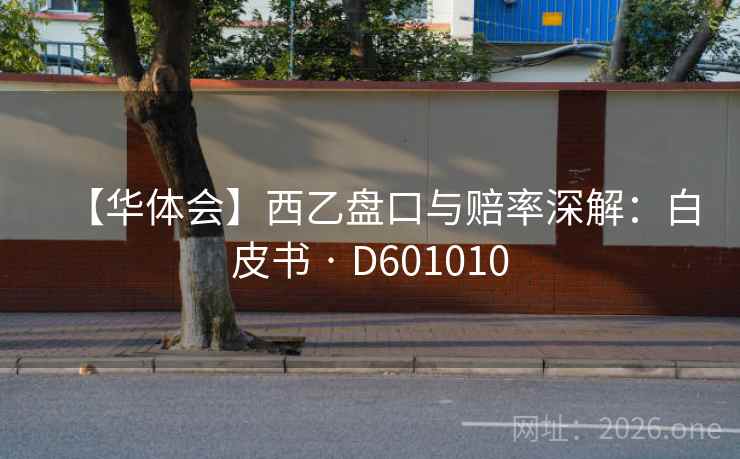 【华体会】西乙盘口与赔率深解：白皮书 · D601010  第2张