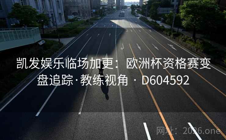 凯发娱乐临场加更：欧洲杯资格赛变盘追踪·教练视角 · D604592  第2张