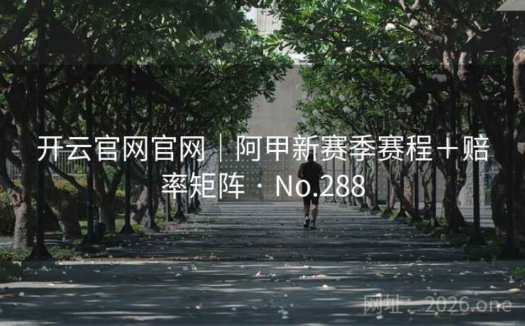 开云官网官网|阿甲新赛季赛程+赔率矩阵 · No.288 第2张 开云官网官网|阿甲新赛季赛程+赔率矩阵 · No.288 第2张
