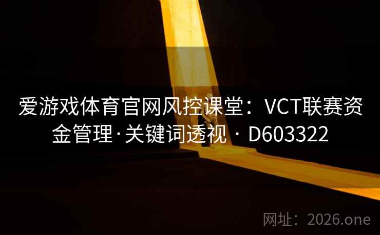 爱游戏体育官网风控课堂：VCT联赛资金管理·关键词透视 · D603322  第2张
