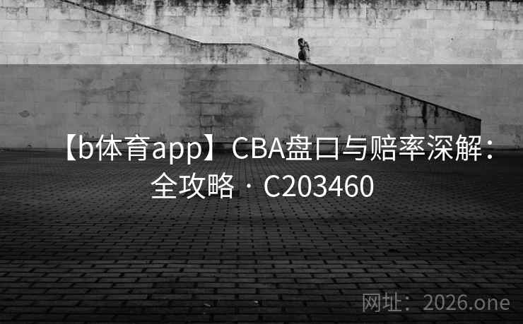 【b体育app】CBA盘口与赔率深解：全攻略 · C203460