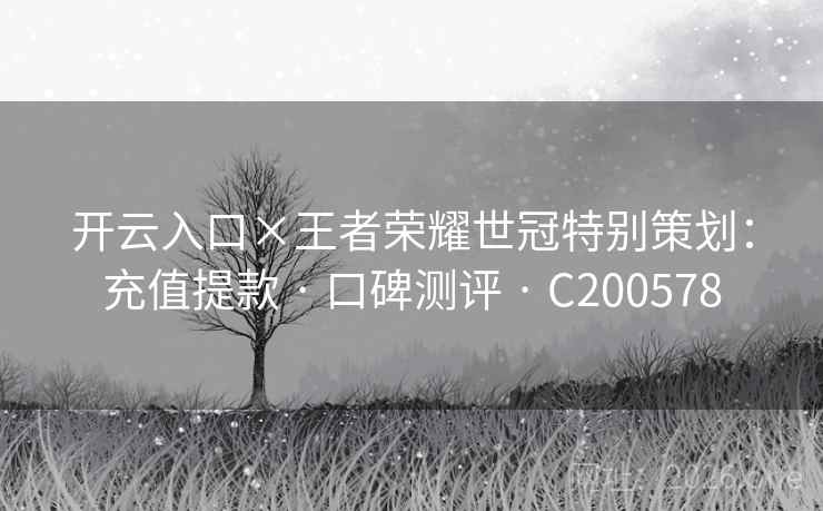 开云入口×王者荣耀世冠特别策划：充值提款 · 口碑测评 C200578  第2张