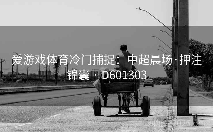 爱游戏体育冷门捕捉：中超晨场·押注锦囊 · D601303
